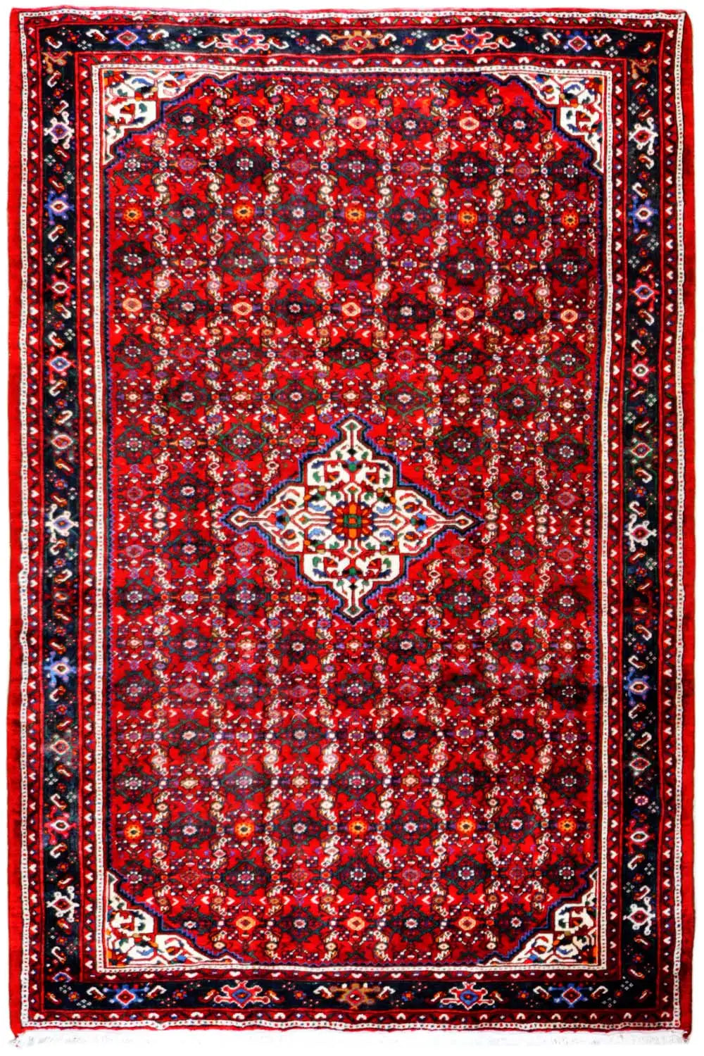 Oriental rug with a red ground, blue pattern, and surrounding decorative border