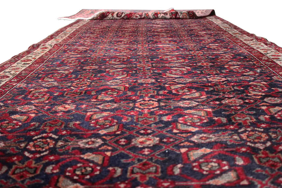Oriental rug runner laid flat: red-and-blue pattern with a bordered edge