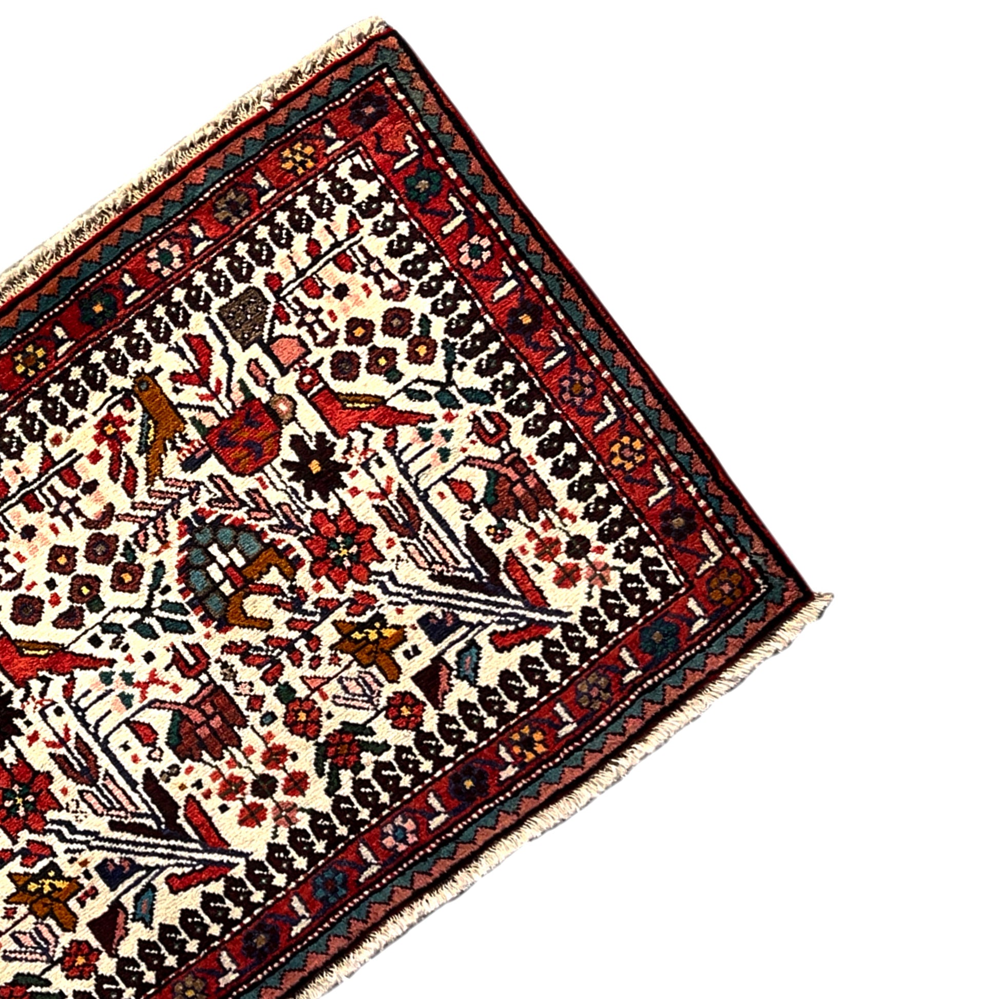  Poshti Teppich, Bunt, 104x68cm - Premium Poshti Teppich from German Carpet Shop - Just €199! Shop now at German Carpet Shop