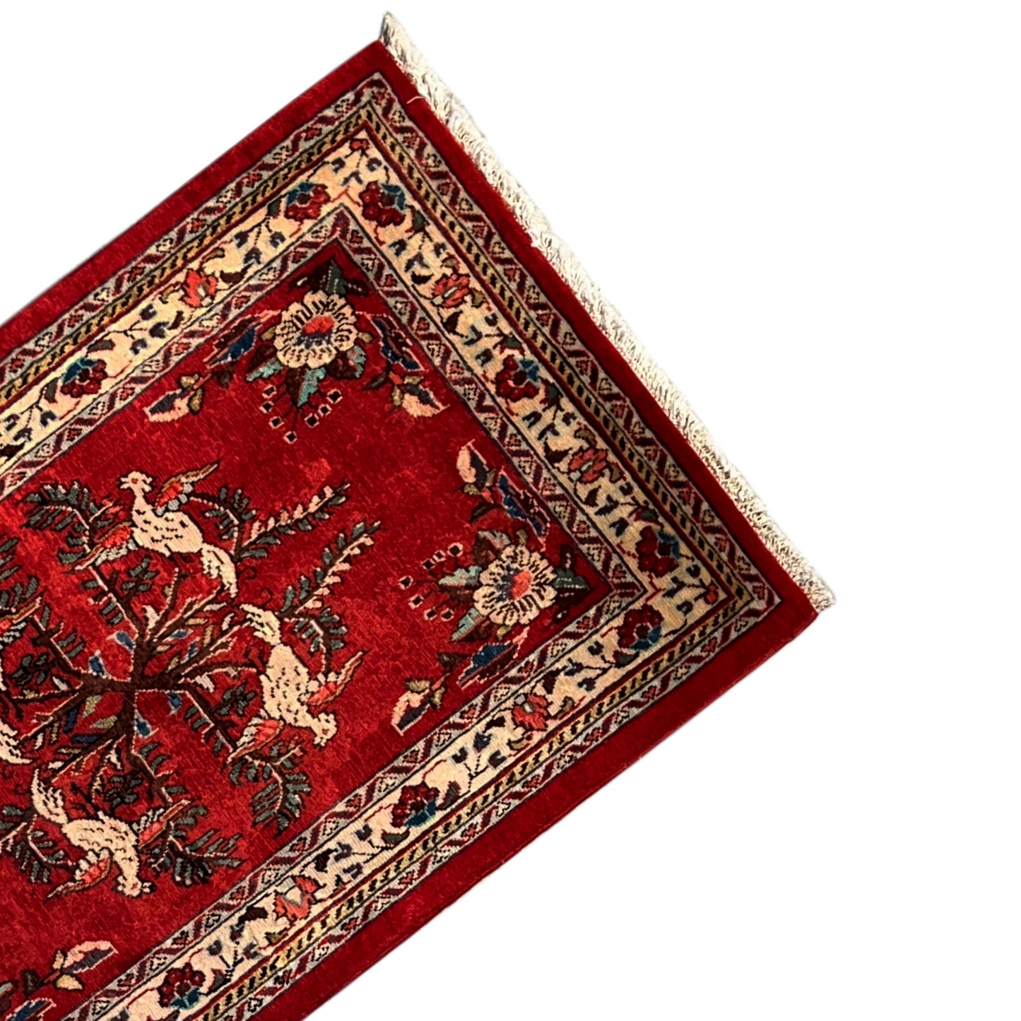  Poshti Teppich, Rot, 102x62cm - Premium Poshti Teppich from German Carpet Shop - Just €199! Shop now at German Carpet Shop