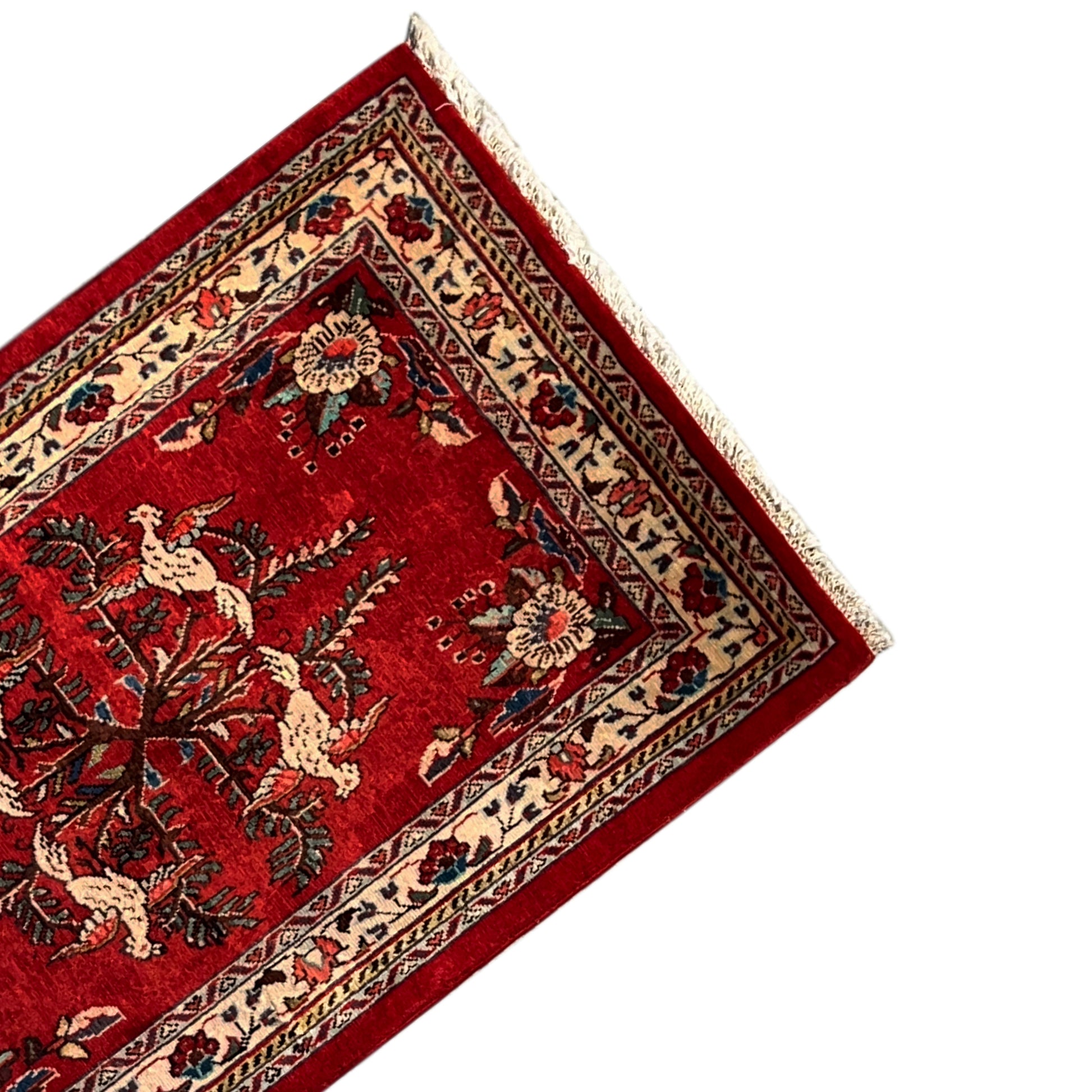  Poshti Teppich, Rot, 102x62cm - Premium Poshti Teppich from German Carpet Shop - Just €199! Shop now at German Carpet Shop