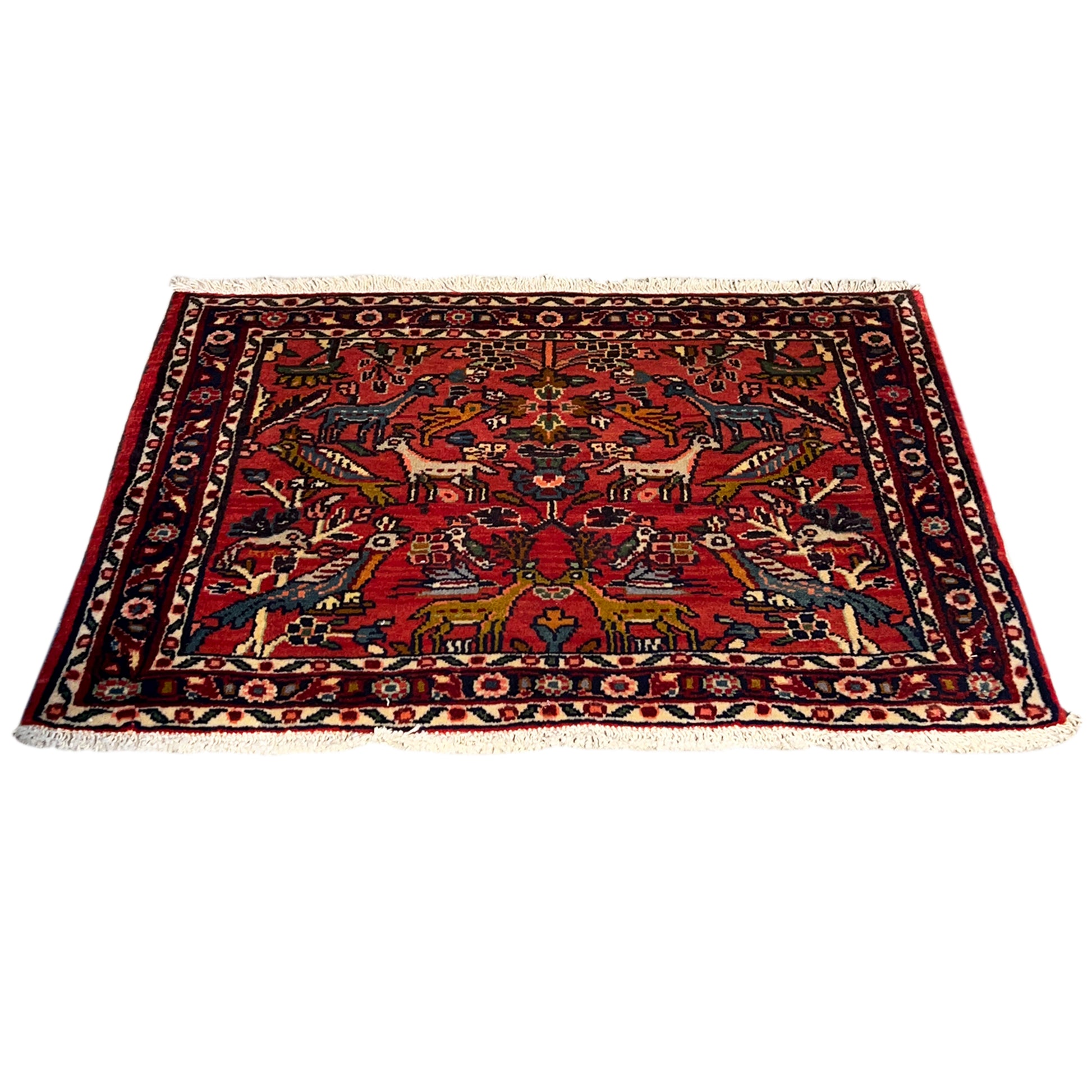  Poshti Teppich, Rot, 77x51cm - Premium Poshti Teppich from German Carpet Shop - Just €170! Shop now at German Carpet Shop