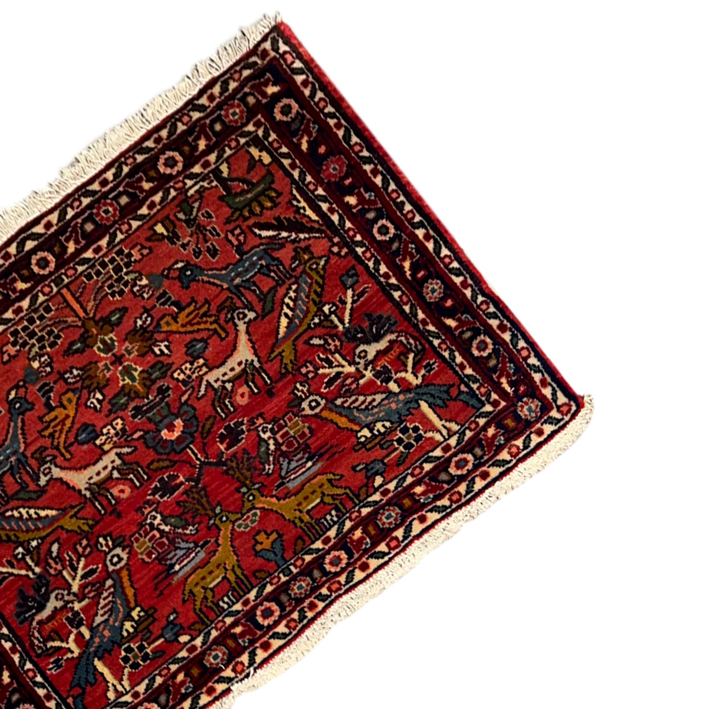  Poshti Teppich, Rot, 77x51cm - Premium Poshti Teppich from German Carpet Shop - Just €170! Shop now at German Carpet Shop