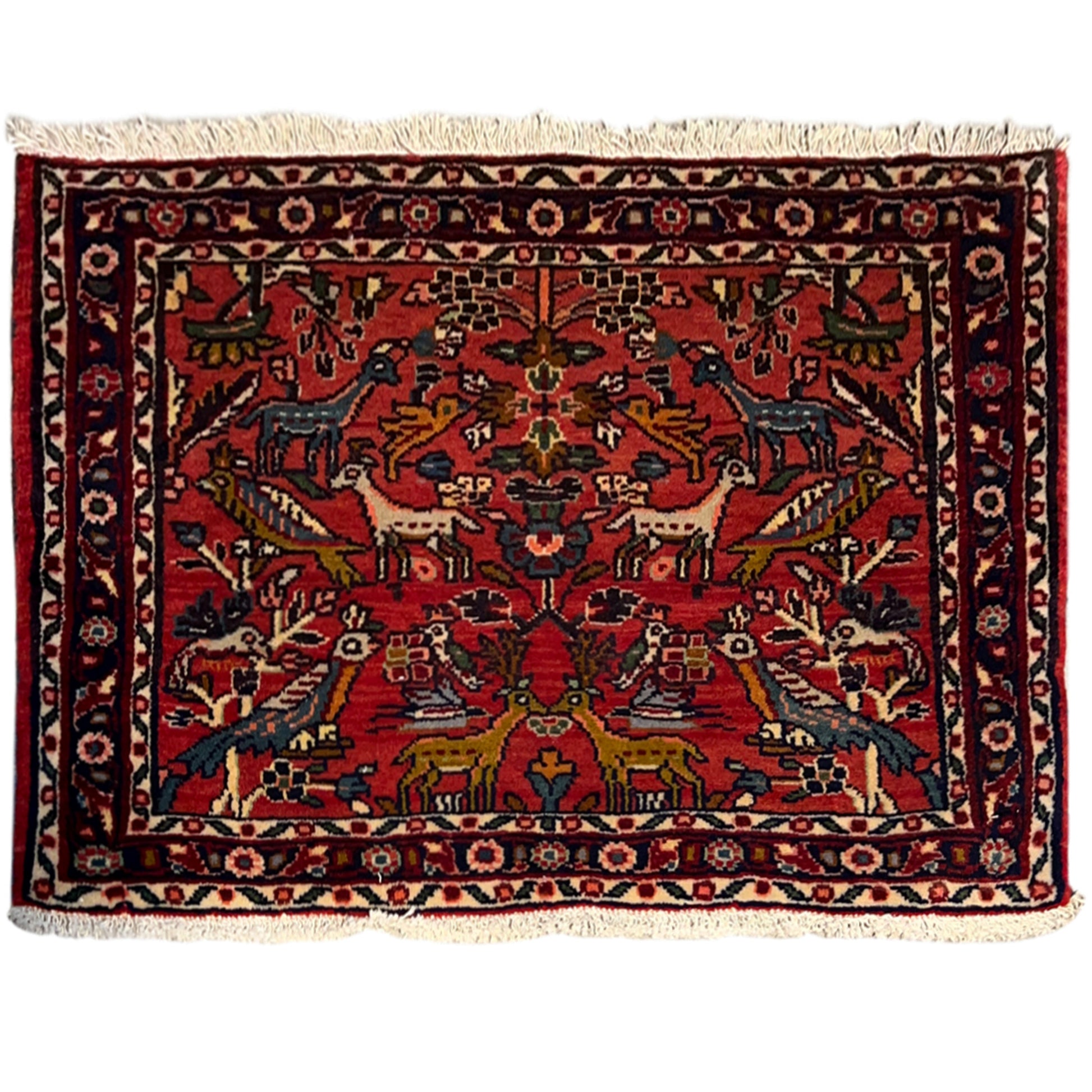  Poshti Teppich, Rot, 77x51cm - Premium Poshti Teppich from German Carpet Shop - Just €170! Shop now at German Carpet Shop