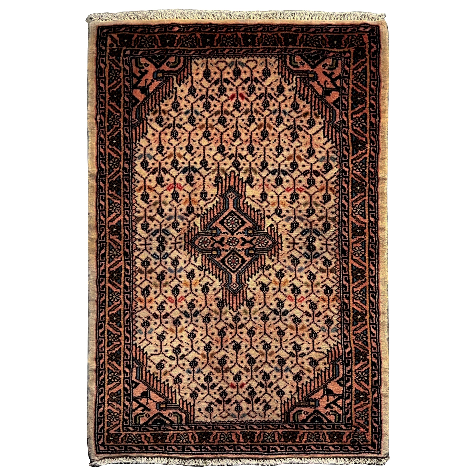  Poshti Teppich, Beige, 92x61cm - Premium Poshti Teppich from German Carpet Shop - Just €199! Shop now at German Carpet Shop