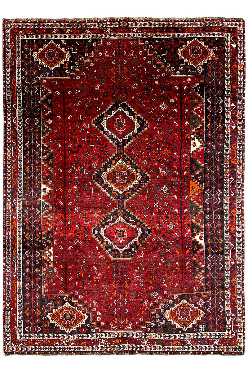 Shiraz - Qashqai (310x221cm)