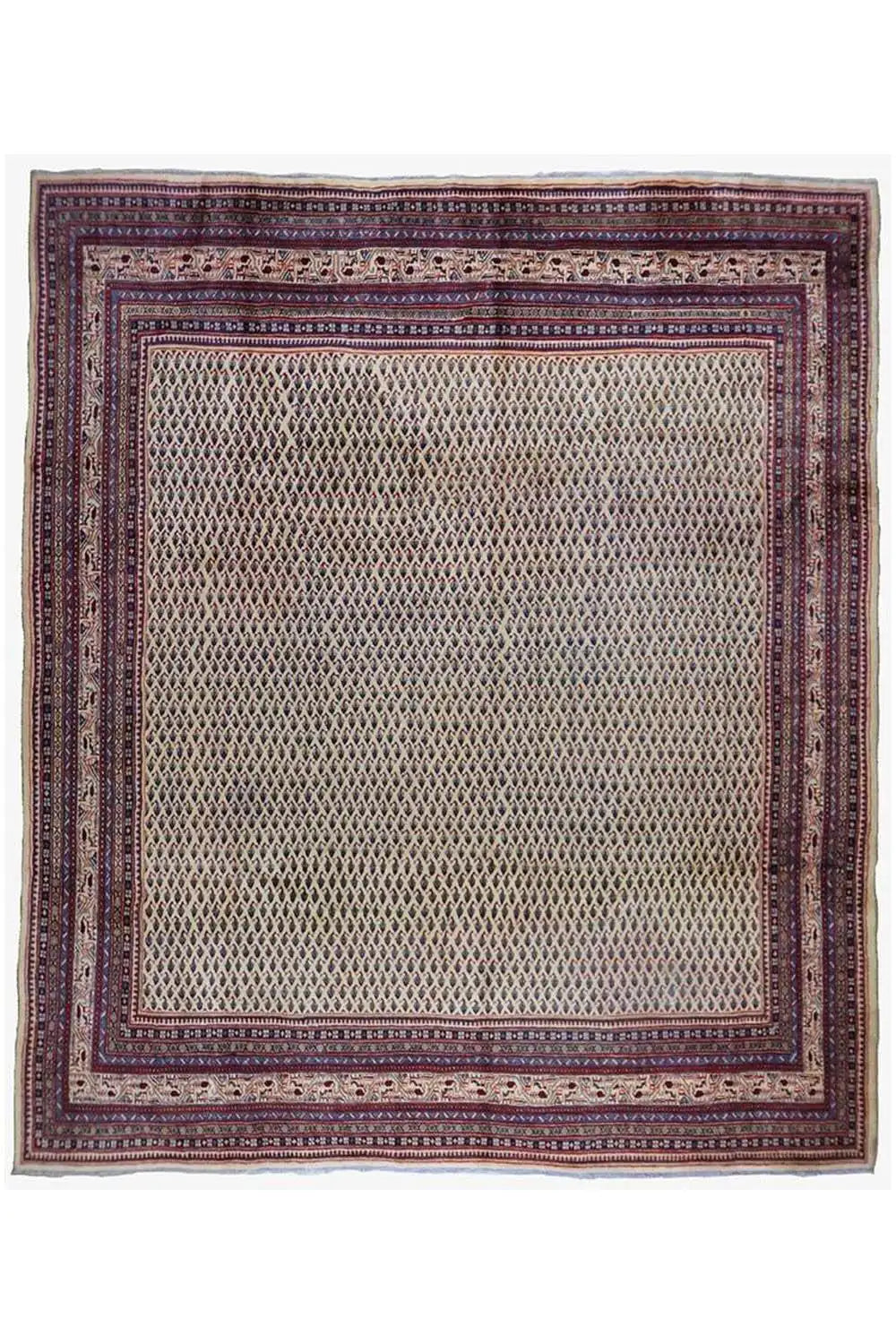 Arak - Botte Mir (315x280 cm) - German Carpet Shop