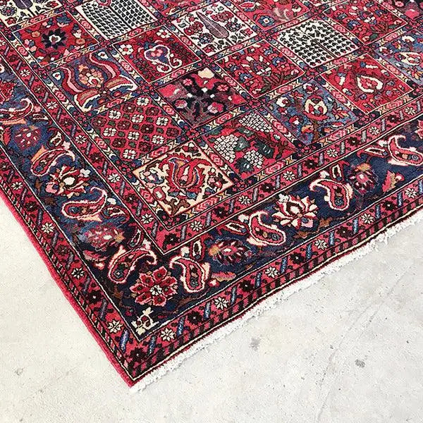 Bakhtiari - (314x220 cm) - German Carpet Shop