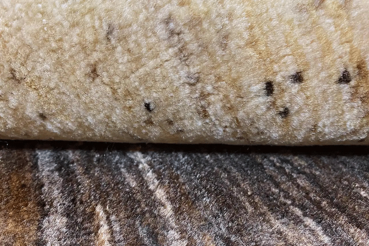 Gabbeh - Lori 20697 (308x241cm) - German Carpet Shop