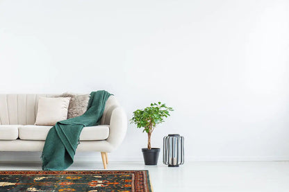 Qashqai - Klassisch (292x204 cm) - German Carpet Shop